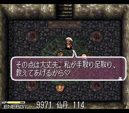 カオスシード 風水回廊記(私のゲーム紹介【レビュー】)